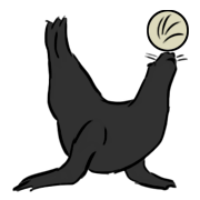 sea lion